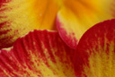 Blumen